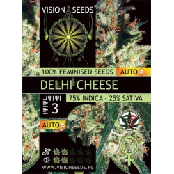 Delhi Cheese  Auto - VISION SEEDS
