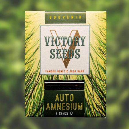 Auto Amnesium - VICTORY SEEDS