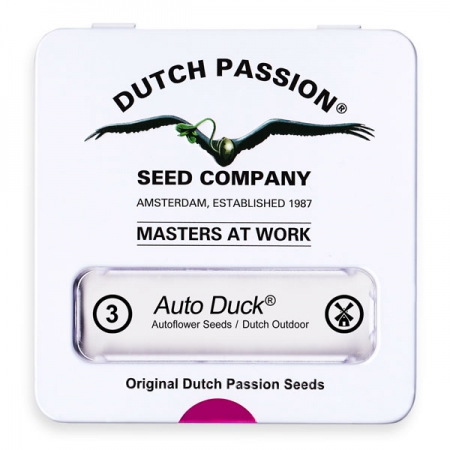 Auto Duck - DUTCH PASSION