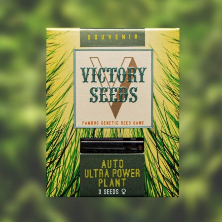 Auto Ultra Power Plant - VICTORY SEEDS