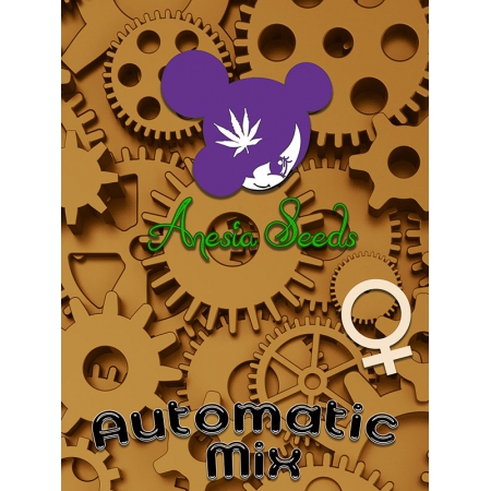 XXL Automatic Mix - ANESIA SEEDS