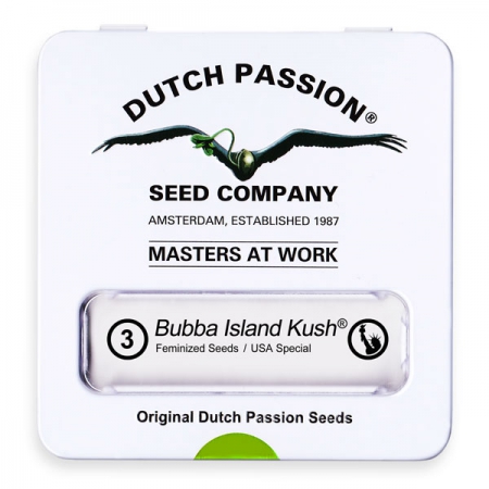 Bubba Island Kush - DUTCH PASSION