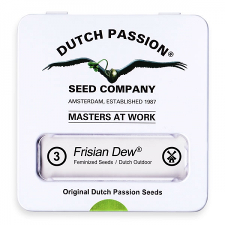 Frisian Dew - DUTCH PASSION