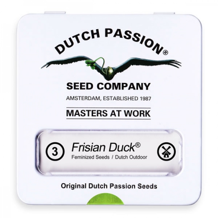 Frisian Duck - DUTCH PASSION