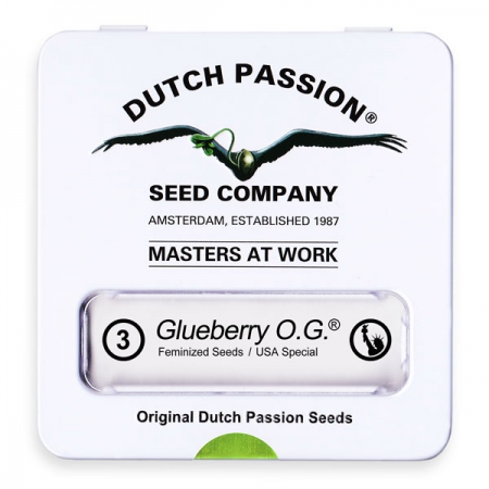 Glueberry O.G. - DUTCH PASSION