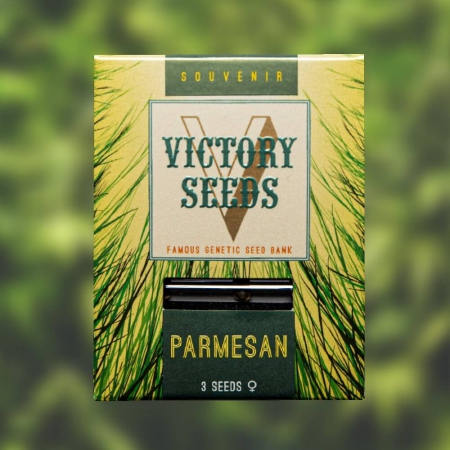 Parmesan - VICTORY SEEDS
