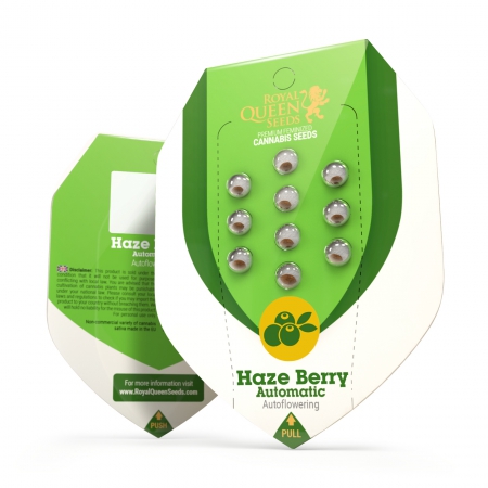 Haze Berry Automatic - ROYAL QUEEN SEEDS