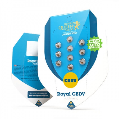 Royal CBDV Automatic - ROYAL QUEEN SEEDS