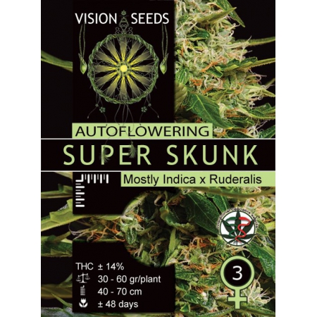 Super Skunk Auto - VISION SEEDS
