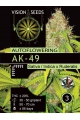 AK-49 Auto - VISION SEEDS