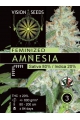 Amnesia - VISION SEEDS