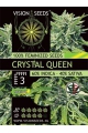 Crystal Queen - VISION SEEDS