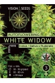 White Widow Auto - VISION SEEDS